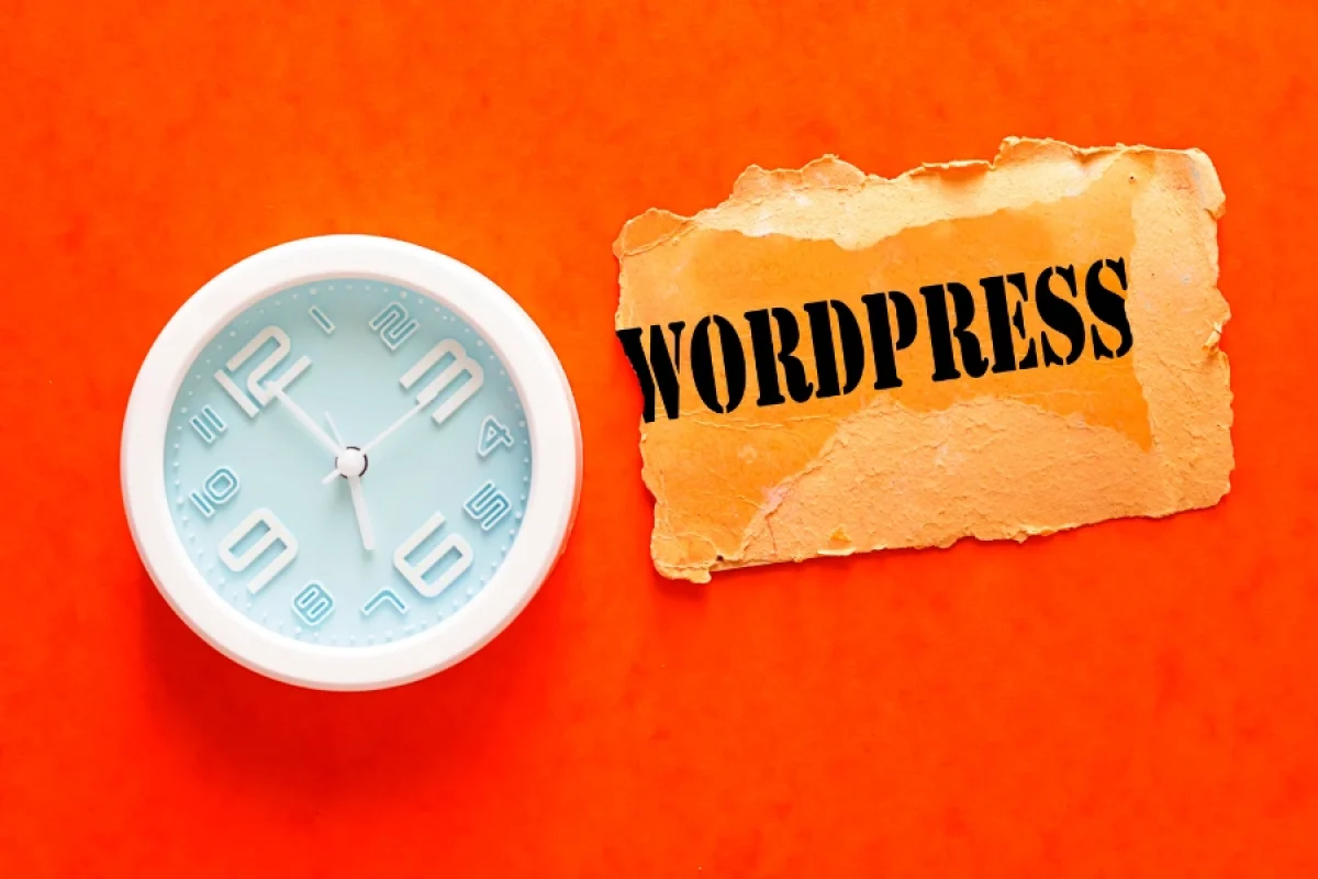Wordpress teknisk virtuel assistent